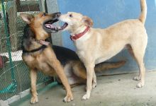 El Refugio Costa Ballena景点图片