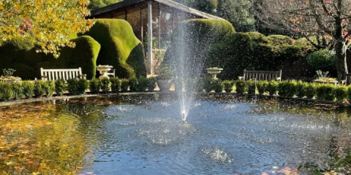 Ashcombe Maze & Lavender Gardens
