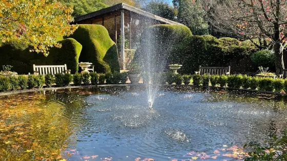 Ashcombe Maze & Lavender Gardens