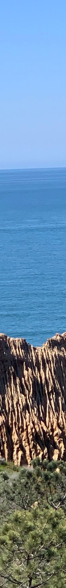 多利松国家自然保护区-佐拉