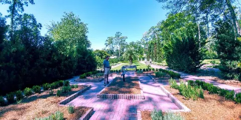 梅塞樹木園和植物園