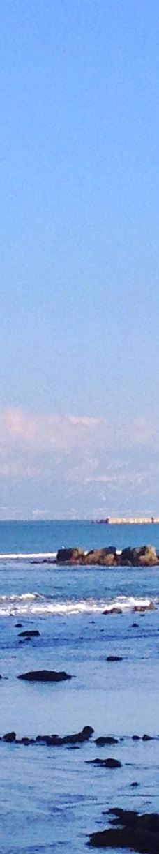 雨晴海岸-高冈市