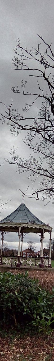 Albert Park-米德尔斯堡