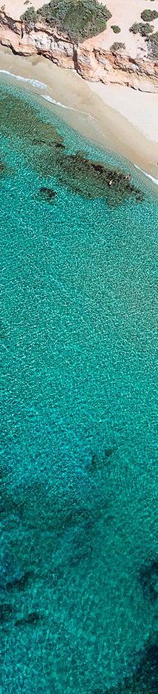 Cedar Forest of Alyko-纳克索斯