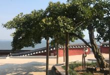 看月庵景点图片