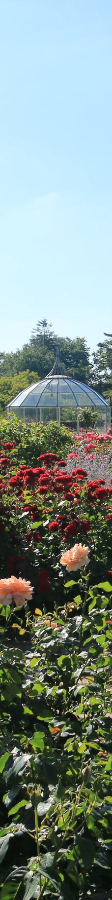 Geografisk Have-科灵