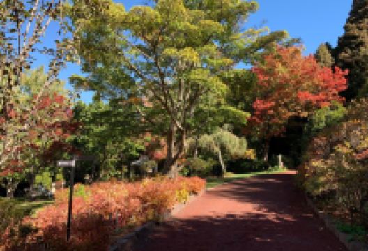 Forest Glade Gardens景点图片