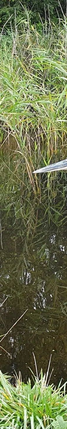 Vogelpark Niendorf-蒂门多尔费尔斯特兰德