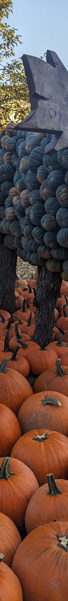 Oskarshausen-Sachsische Schweiz-Osterzgebirge