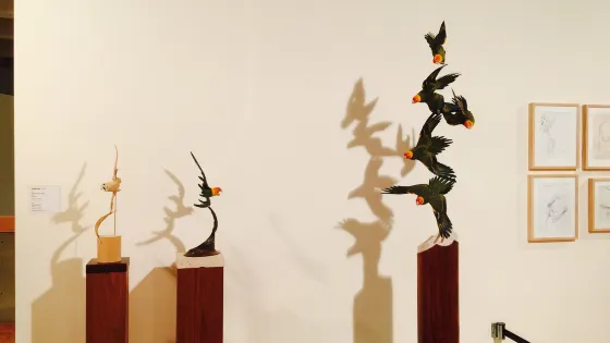 Greenville County Museum of Art