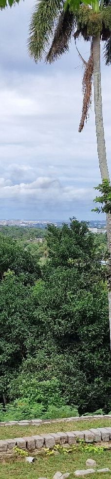 海明威故居-哈瓦那