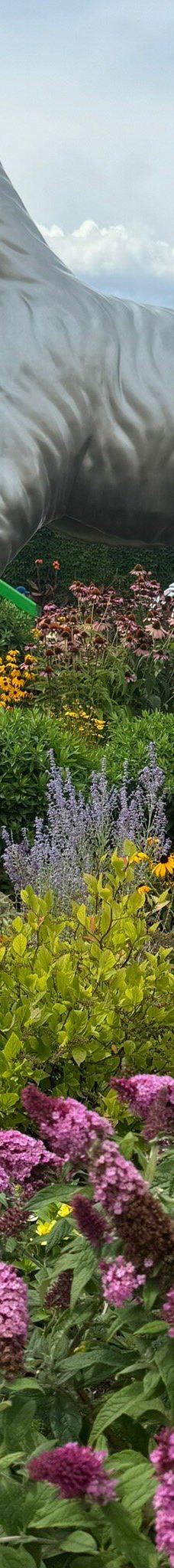 The Strong National Museum of Play-罗切斯特