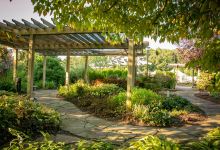 Botanical Garden of the Ozarks景点图片
