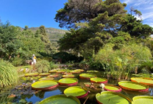 Jardin Botanique et Exotique Val Rahmeh景点图片