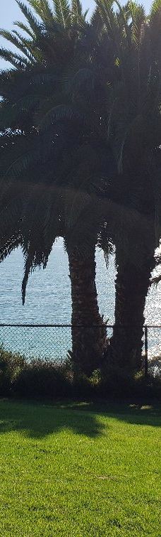 Pines Park-达纳点