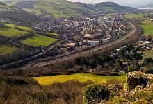Bryn Euryn Nature Reserve景点图片