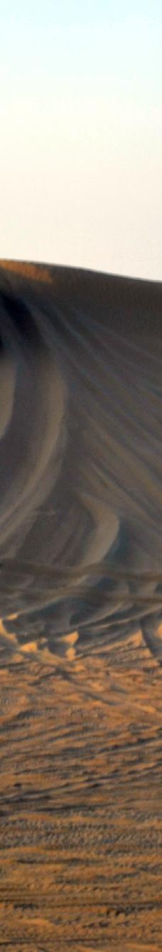 My Safari Dubai-迪拜