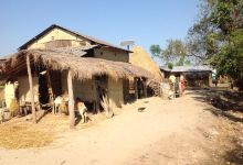 Chitwan Tharu Village景点图片