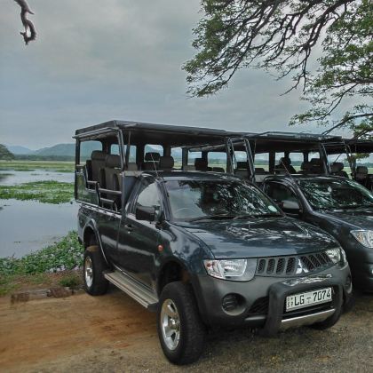 斯里兰卡科伦坡+尼甘布+康提+锡吉里耶+努沃勒埃利耶区+埃勒+美蕊沙+加勒10日9晚自由行