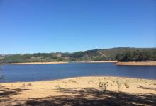 Mount Bold Reservoir景点图片