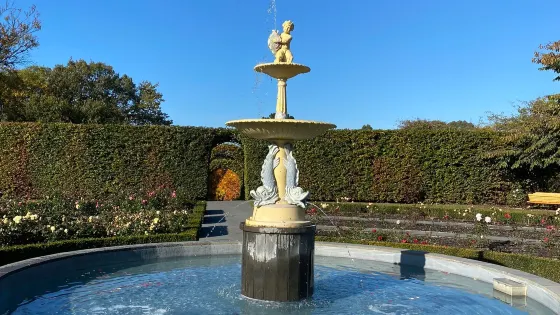 Timaru Botanic Gardens