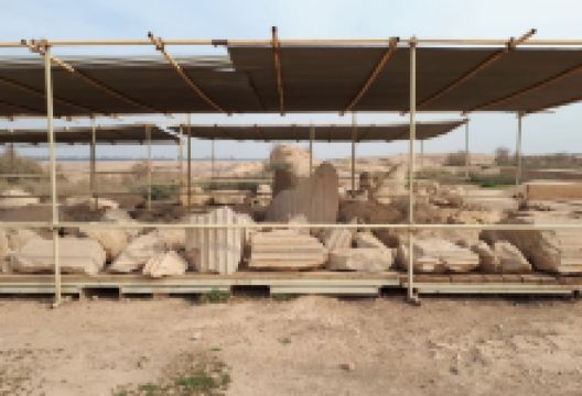 Apadana Castle Shush景点图片