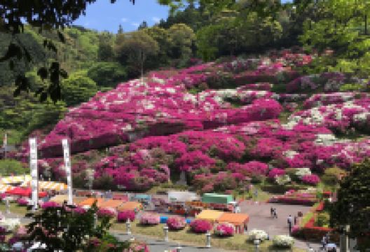 三隅神社景点图片