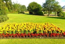 Horden Welfare Park景点图片