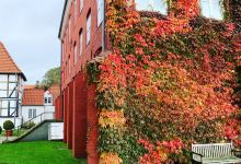 Stadtmuseum Schleswig景点图片