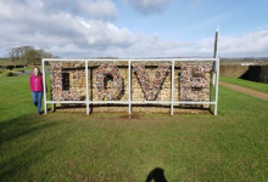 Courtship Maze景点图片