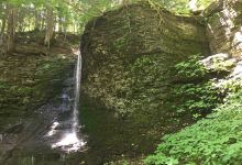 Bucktail Falls景点图片