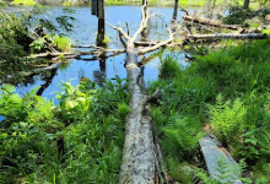 Widow's Clearing Parking景点图片