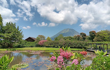 Taman Kelong餐厅图片