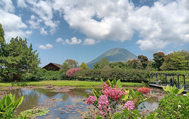 Taman Kelong