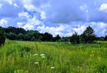 Paw Paw Prairie Fen Preserve景点图片