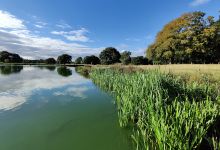 Tatton Mere景点图片