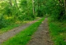 Bowery Run景点图片