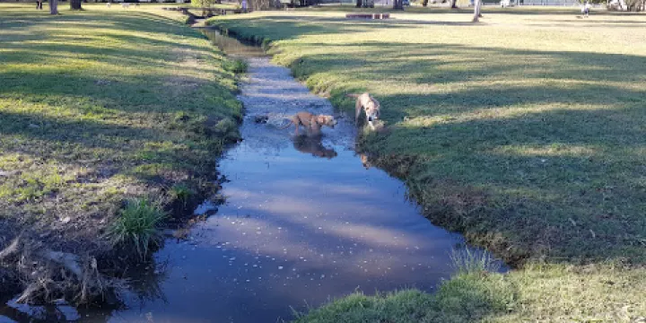 Thompsons Road Dog Park