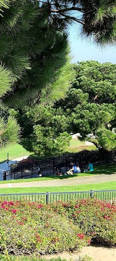 Doris Walker Overlook-达纳点