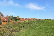 Fairview Township Memorial Park景点图片