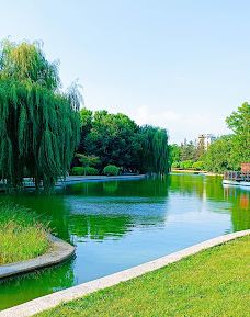 Памятник погибшим во 2 мировой войне-多布里奇