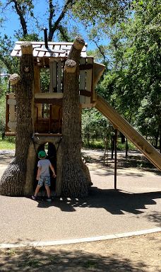 Arcade Creek Park Preserve-萨克拉门托县