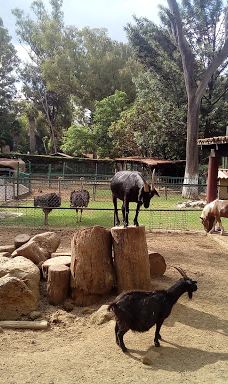 MORELIA ZOO ACUARIUM-莫雷利亚