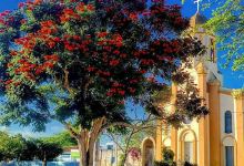 Igreja da Imaculada景点图片