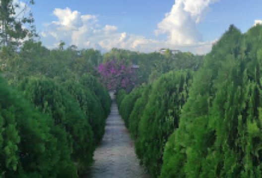 Omba and Nurathel Garden, Takmu Lake景点图片