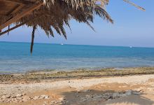 Health beach camp景点图片