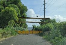 Coloso Bridge景点图片
