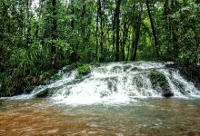Dudhsagar Water Falls Trek景点图片