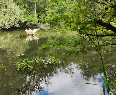 Bois de Lauzelle