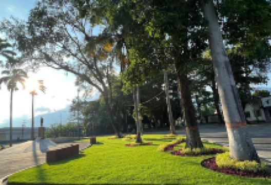 Plaza Bachiller Trinidad Figueira景点图片